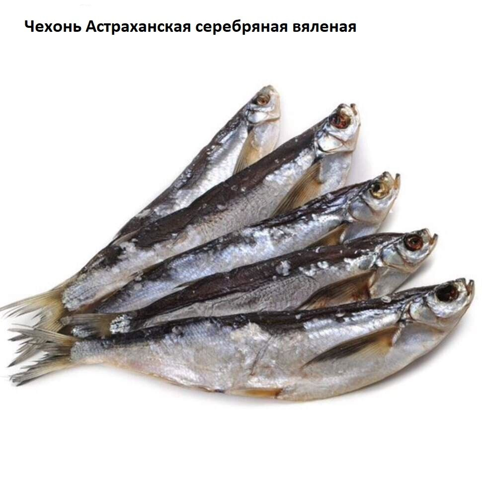 Чехонь вяленая крупная, весовой товар